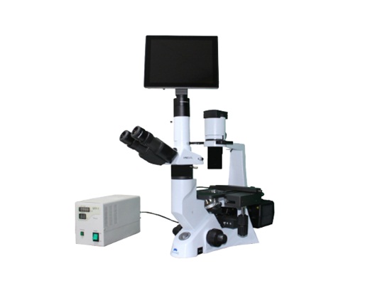 IVM22 / IVM22FL2 / IVM22FL4   Biological Inverted  Microscope