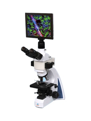 MB720TF Advanced Fluorescence Microscope